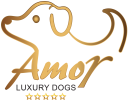 logo amor wite